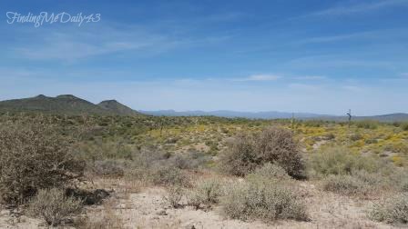 06-03 desert landscape